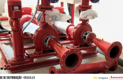 NSB - Fotografias - 22