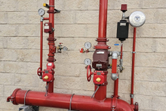 WhatsApp-Image-2026-02-10-at-16.13.18