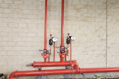 WhatsApp-Image-2026-02-10-at-16.13.19