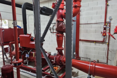 WhatsApp-Image-2026-0a2-10-at-16.13.18