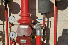 WhatsApp-Imagfze-2026-02-10-at-16.13.19